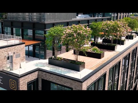 Real Estate Credit | Apollo
