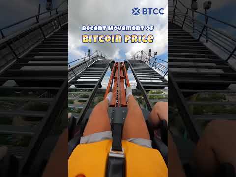 The Bitcoin Price Is A CRAZY Roller Coaster Ride