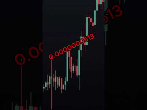 The SHIBA INU Story: Meme Coin to Moon Coin