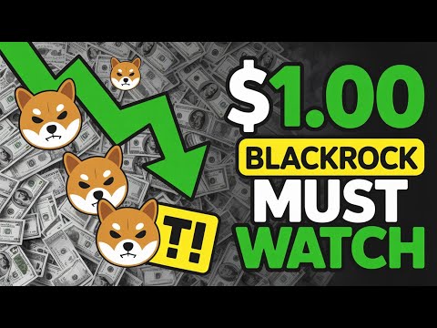🚨BlackRock Secretly Fueling SHIBA INU&#039;s 1000% Pump? Massive Whale Transfers Explained!