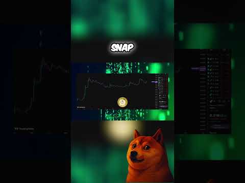 Dogecoin&#039;s Secret Comeback: Whales Are Pumping DOGE!