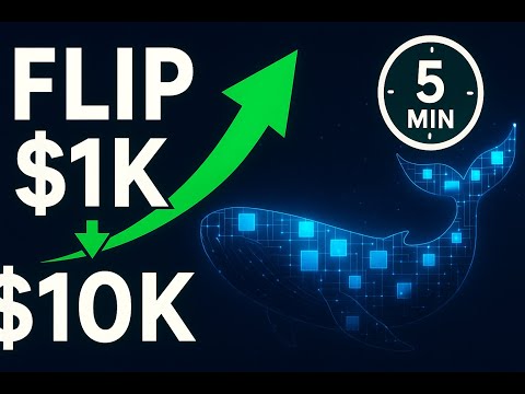 How to Track Crypto Whales in 5 Minutes and Flip $1,000 into $10,000