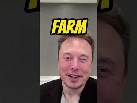 Elon Musk reveals his favorite cryptocurrency #crypto