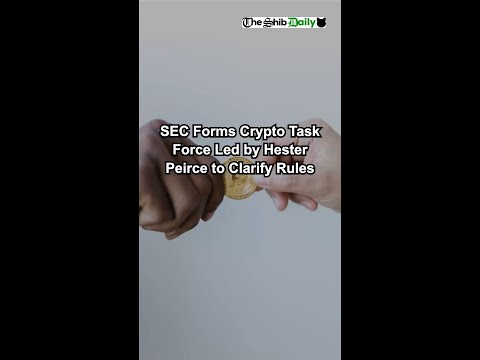 SEC Forms Crypto Task Force Led by Hester Peirce to Clarify Rules.mp4