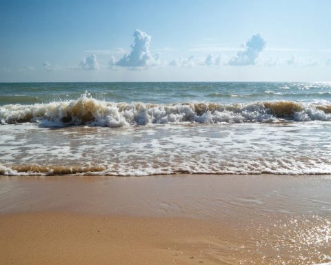 The Tides Turn in U.S. Real Estate: Foreign Investment’s Shifting Sands The Tides Turn in U.S. Real Estate: Foreign Investment’s Shifting Sands